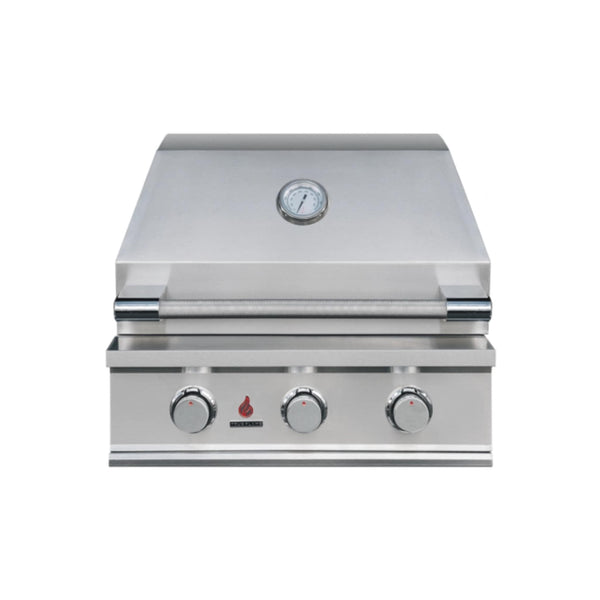 TrueFlame 25" E-Series 3-burner built-in gas grill with stainless steel hood, temperature gauge, and control knobs.