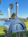 Stainless steel wood-fired pizza oven with a chimney in a scenic outdoor setting featuring a park, palm trees, and a fountain in the background