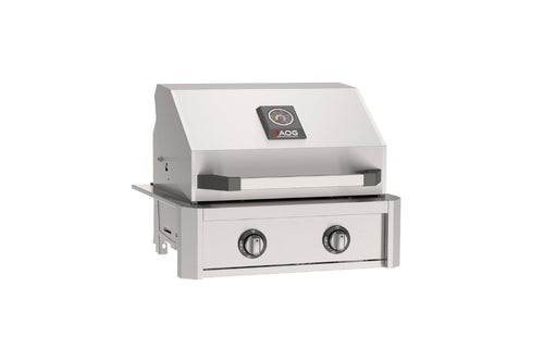 Stainless steel built-in gas grill with hood, temperature gauge, and two front control knobs designed for outdoor kitchen installations.