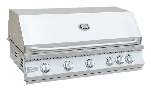 A stainless steel built-in gas grill with six burner knobs, featuring a polished hood and control knobs, hood in closed position