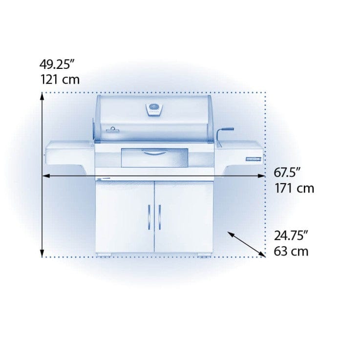 Napoleon Charcoal Professional Grill