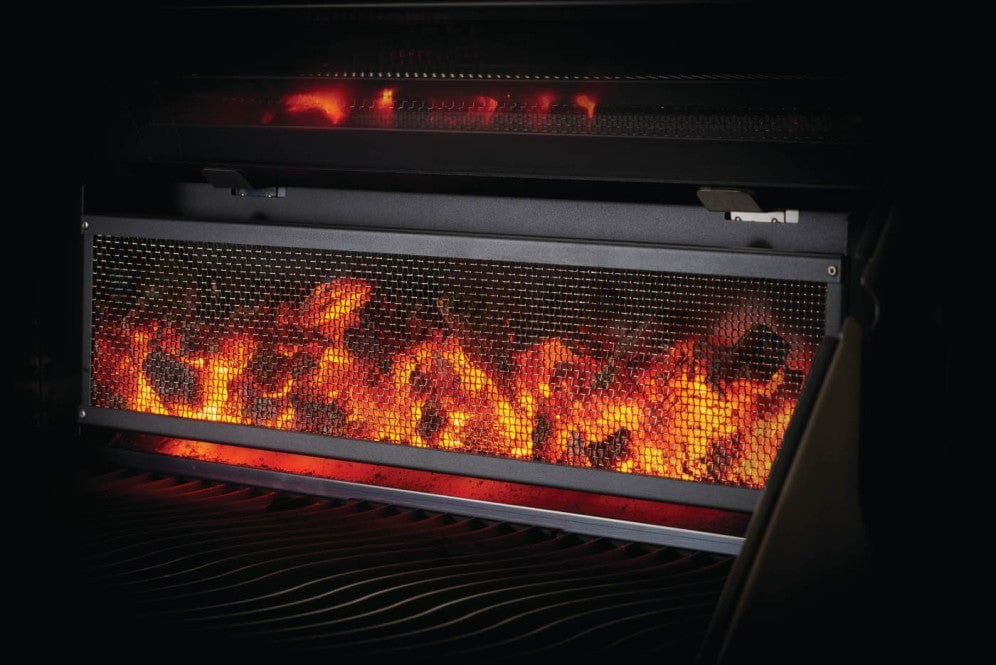 Napoleon Charcoal Professional Grill