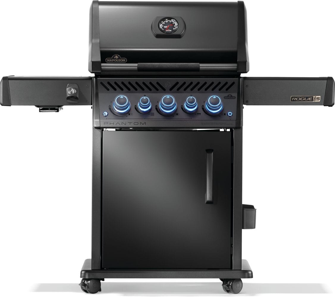 Freestanding Gas Grills