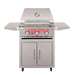 Front view of TrueFlame 25-inch deluxe grill cart with stainless steel doors, caster wheels, and dual fold-down side shelves.