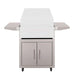 TrueFlame 25-inch deluxe stainless steel grill cart with double access doors, caster wheels, and fold-down side shelves.
