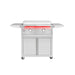 TrueFlame 30-inch griddle on stainless steel deluxe cart with lid closed, fold-down side shelves, storage doors, and casters.