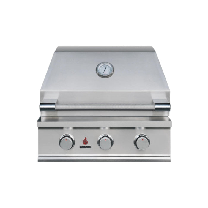 TrueFlame 25" E-Series 3-burner built-in gas grill with stainless steel hood, temperature gauge, and control knobs.